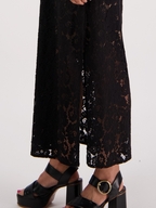 Briarwood Sylvia Lace Dress