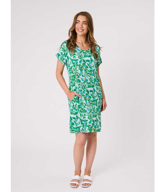 Democracy Blakely Printed Dress