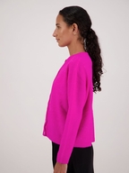 Briarwood Frenchie Cardigan