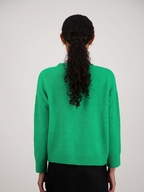 Briarwood Freddie Jumper