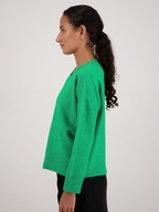 Briarwood Freddie Jumper